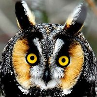 Fotos von Deniz Aral