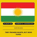 Demonstration in
defence of Rojava's picture