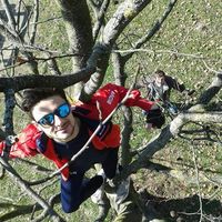 Lorenzo Ferranti's Photo