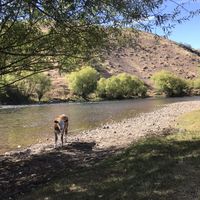 José Manuel Ithurrart的照片