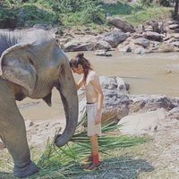 Michael Stamos's Photo