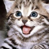 Diaz Jiménez Caperuza's Photo