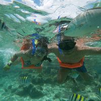 Silvia  R. y Andrés Ch.的照片