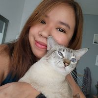 Mich Angeles的照片