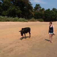 Natalie Loeb's Photo