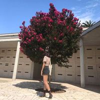 Andy Ventura's Photo