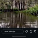 Make Friends In Tirana's picture