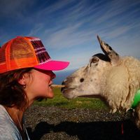 Spadla Zvišně的照片