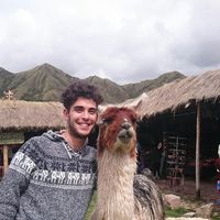 Florian  Martin的照片