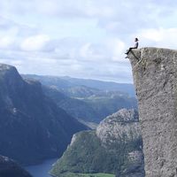 Zdjęcia użytkownika Oleg Shevchuk