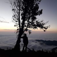 Le foto di Jean Gallardo