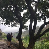 Mar Amorós的照片