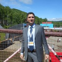 Alessio Russo的照片