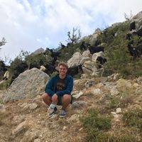 Henri Gröger's Photo