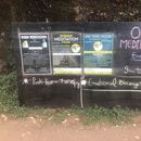 Osho Meditation with Swami Ashok Samdarshi's picture