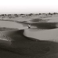 Raquel Pereira's Photo