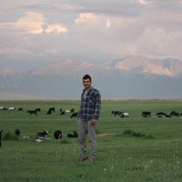 Nadav Bentov's Photo