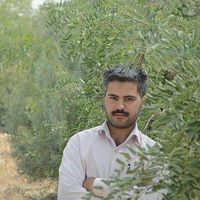 hosien Kazemi's Photo