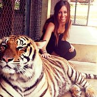 Fotos de Allysa Bassir