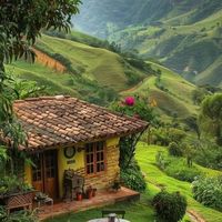 Bushra Mlhem的照片