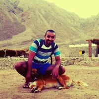 Ehab Wassily的照片