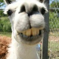 Margaux Rustez's Photo