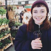 Alice Tobia的照片