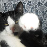 Sergey Ostroumov's Photo