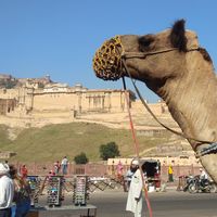 Kabeer Khan的照片