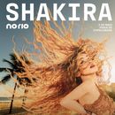 Foto do evento Shakira no Rio