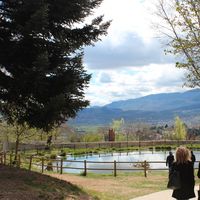 Chiara Congedo的照片