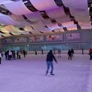 Ice Skating at Eisstadthalle's picture