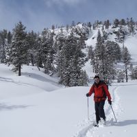 Solihov Pierre's Photo