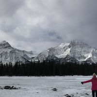 Linda Bertini的照片