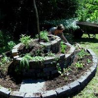 Shiva Ashmole的照片