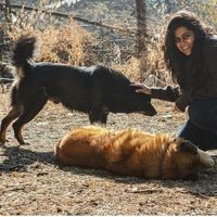 Radhika Chugh's Photo