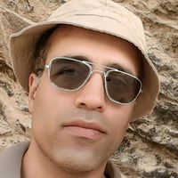 مهدی Mahdi گنجی Ganji's Photo