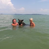 Tibor Balogh's Photo