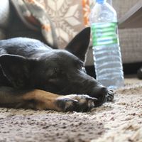 Dag Holzhausen's Photo