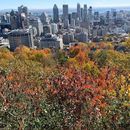 Lunch & Mt Royal - Oratory's picture