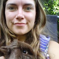 Le foto di Bryony Darbon