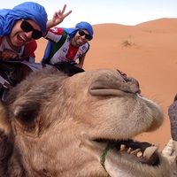 Nicolas Asfura's Photo