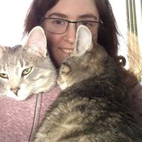 Zdjęcia użytkownika Carrie Plant