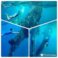 adi muyadi machata的照片