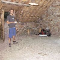 francis Mansano的照片