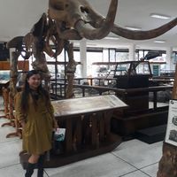 Kariito Beniitez的照片