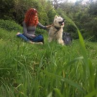 Fotos de Havva Kurttekin