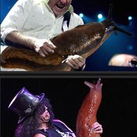 Andrés Aguirre's Photo