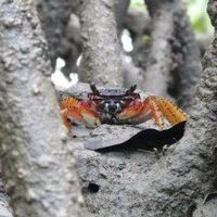 Orlando Gonzalez's Photo