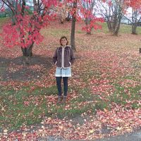 Zeisy Welis的照片